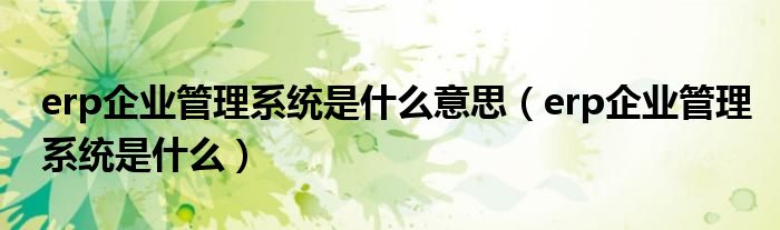 erp企业管理系统是什么意思(erp企业管理系统是什么)