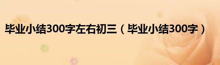 毕业小结300字左右初三(毕业小结300字)