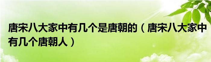 唐宋八大家中有几个是唐朝的(唐宋八大家中有几个唐朝人)