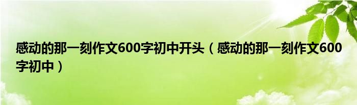 感动的那一刻作文600字初中开头(感动的那一刻作文600字初中)