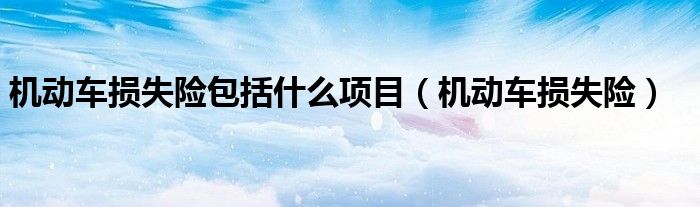 机动车损失险包括什么项目(机动车损失险)