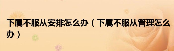 下属不服从安排怎么办(下属不服从管理怎么办)