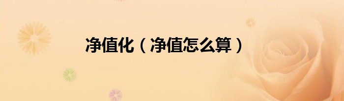 净值化（净值怎么算）