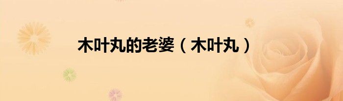 木叶丸的老婆（木叶丸）