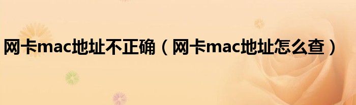 网卡mac地址不正确(网卡mac地址怎么查)