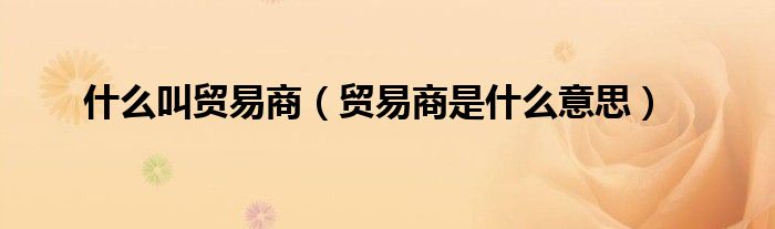 什么叫贸易商(贸易商是什么意思)