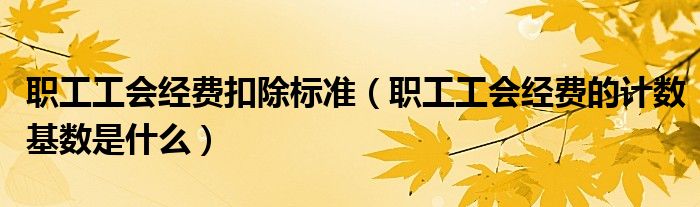 职工工会经费扣除标准(职工工会经费的计数基数是什么)
