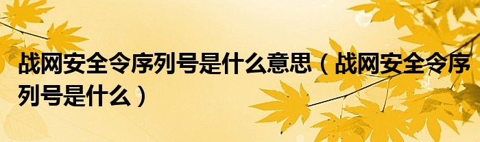 战网安全令序列号是什么意思(战网安全令序列号是什么)