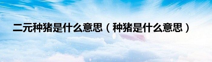 二元种猪是什么意思(种猪是什么意思)