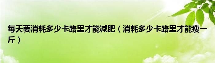 每天要消耗多少卡路里才能减肥(消耗多少卡路里才能瘦一斤)