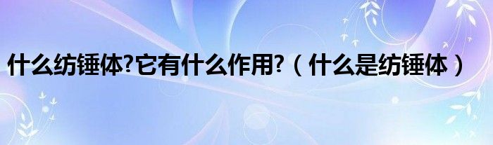 什么纺锤体?它有什么作用?(什么是纺锤体)
