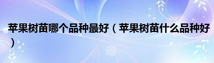 苹果树苗哪个品种最好(苹果树苗什么品种好)