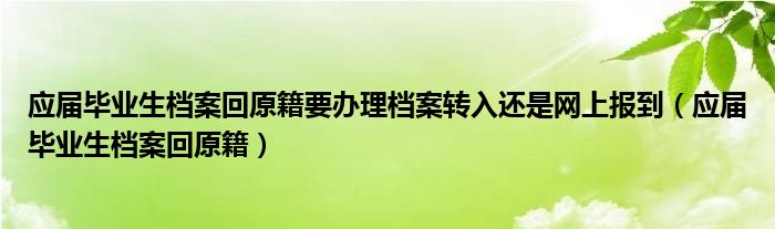 应届毕业生档案回原籍要办理档案转入还是网上报到(应届毕业生档案回原籍)
