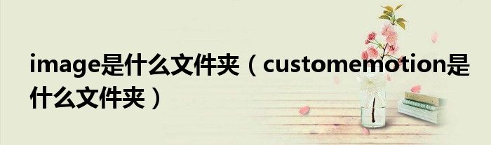 image是什么文件夹(customemotion是什么文件夹)