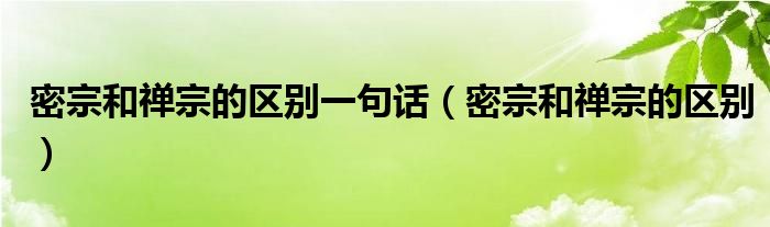 密宗和禅宗的区别一句话(密宗和禅宗的区别)