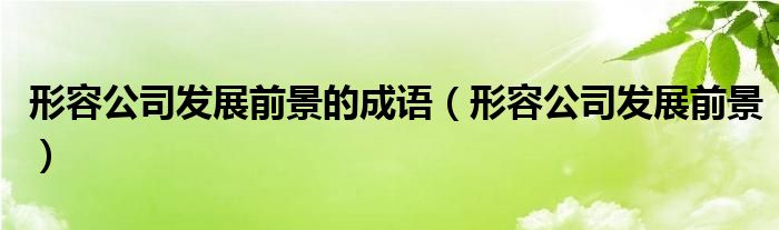 形容公司发展前景的成语(形容公司发展前景)