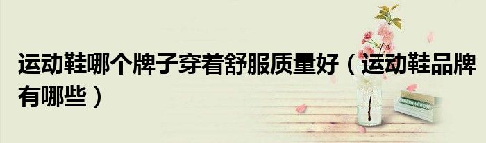运动鞋哪个牌子穿着舒服质量好(运动鞋品牌有哪些)