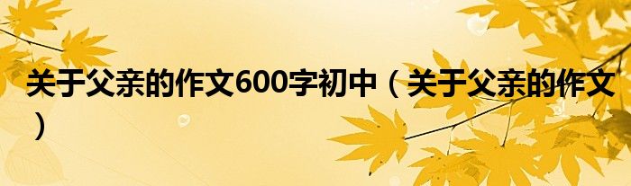 关于父亲的作文600字初中(关于父亲的作文)