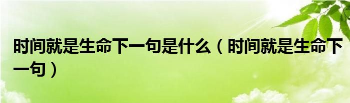 时间就是生命下一句是什么(时间就是生命下一句)