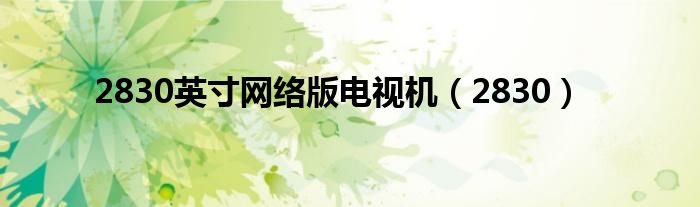 2830英寸网络版电视机(2830)