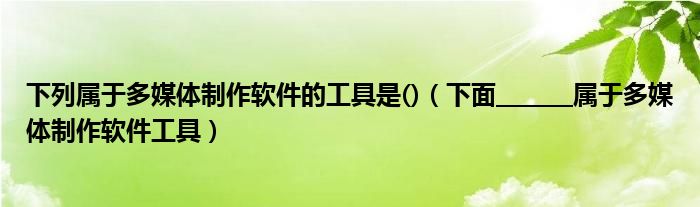 下列属于多媒体制作软件的工具是()(下面_______属于多媒体制作软件工具)