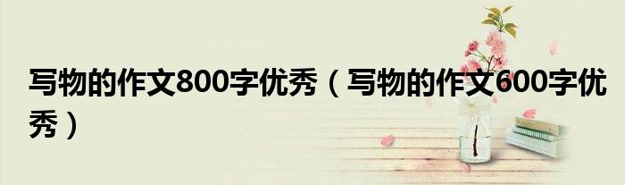 写物的作文800字优秀(写物的作文600字优秀)