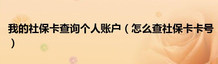 我的社保卡查询个人账户(怎么查社保卡卡号)