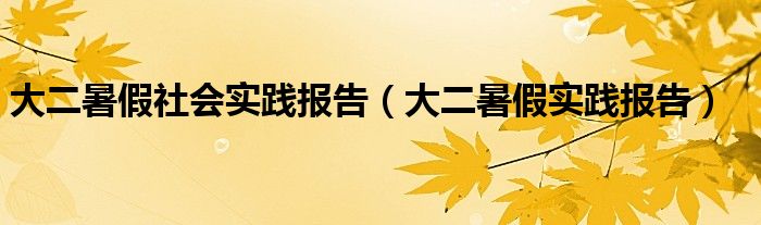 大二暑假社会实践报告(大二暑假实践报告)