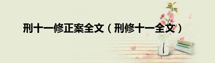 刑十一修正案全文(刑修十一全文)