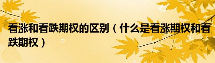 看涨和看跌期权的区别(什么是看涨期权和看跌期权)