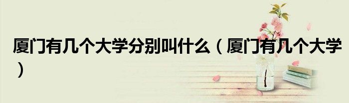 厦门有几个大学分别叫什么(厦门有几个大学)