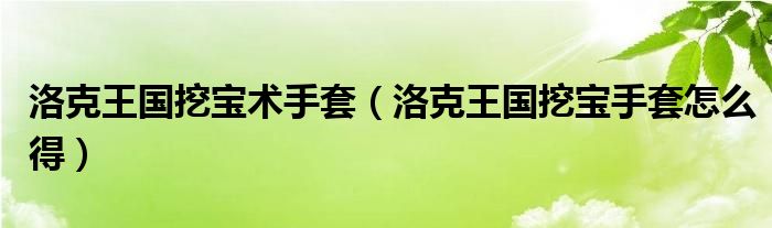 洛克王国挖宝术手套(洛克王国挖宝手套怎么得)