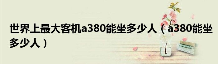 世界上最大客机a380能坐多少人(a380能坐多少人)