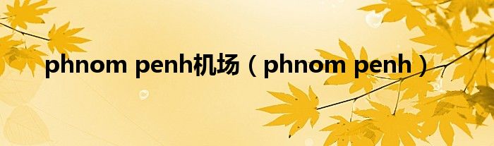 phnom penh机场(phnom penh)