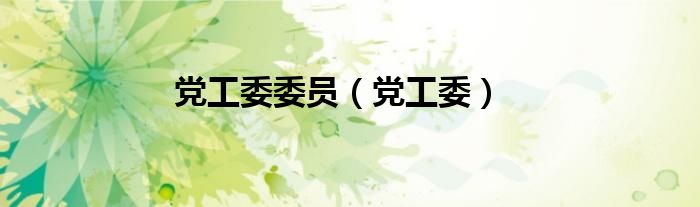 党工委委员（党工委）