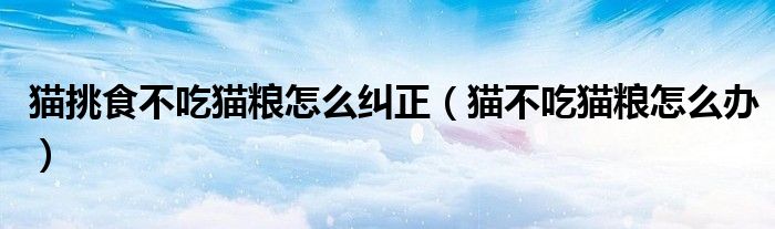 猫挑食不吃猫粮怎么纠正(猫不吃猫粮怎么办)