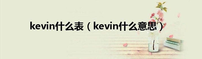 kevin什么表(kevin什么意思)