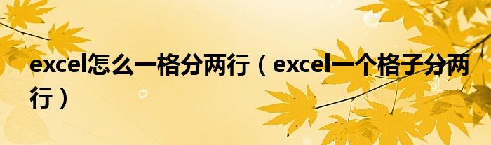 excel怎么一格分两行(excel一个格子分两行)