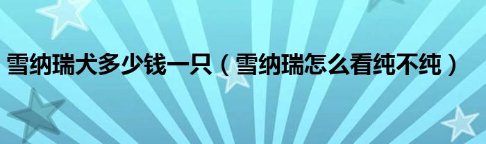 雪纳瑞犬多少钱一只(雪纳瑞怎么看纯不纯)
