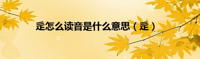 辵怎么读音是什么意思(辵)