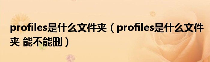 profiles是什么文件夹(profiles是什么文件夹 能不能删)
