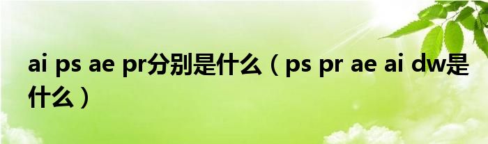 ai ps ae pr分别是什么(ps pr ae ai dw是什么)