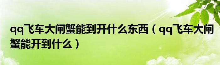 qq飞车大闸蟹能到开什么东西(qq飞车大闸蟹能开到什么)