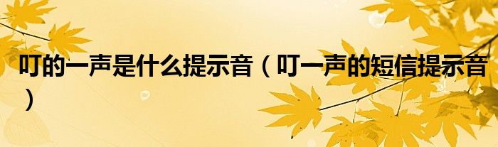 叮的一声是什么提示音(叮一声的短信提示音)