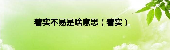 着实不易是啥意思（着实）