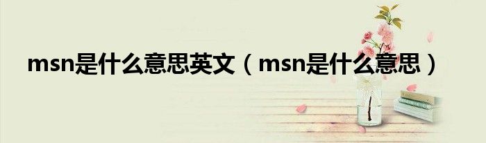 msn是什么意思英文(msn是什么意思)