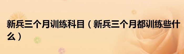 新兵三个月训练科目(新兵三个月都训练些什么)