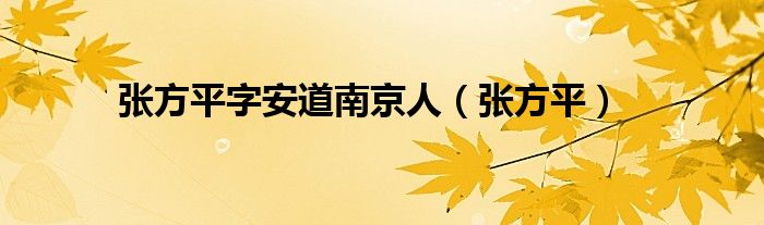 张方平字安道南京人(张方平)