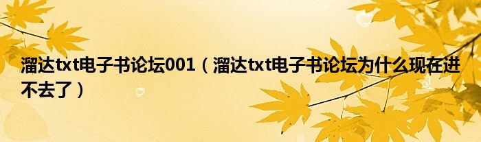 溜达txt电子书论坛001(溜达txt电子书论坛为什么现在进不去了)