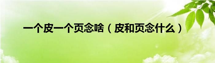 一个皮一个页念啥(皮和页念什么)